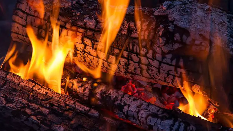 backyard-firepit